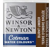 Winsor & Newton Cotman Aquarelle 1/2 Godet Terre D'Ombre Brulée