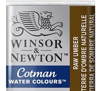 Winsor & Newton Cotman Aquarelle 1/2 Godet Terre D'Ombre Naturelle