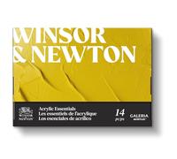 Winsor & Newton Galeria Acrylique Set 10X12ml + Accessoires, Multicouleur