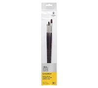 Winsor & Newton Galeria Pinceau Manche Long X3 (Rond 2 / Plat 8 / usé bombé 4)