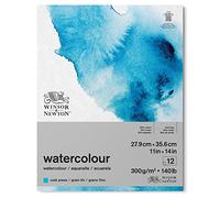 Winsor & Newton Papier Aqua Bloc Grain Fin 300G 27,9X35,6cm 12 Feuilles