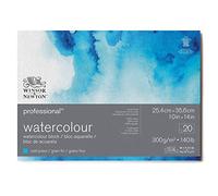 Bloc aquarelle Winsor et Newton 25,4 x 35,6 cm 300g grain fin 20 feuilles