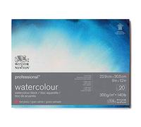 WINSOR & NEWTON PAPIER AQUARELLE PROFESSIONNELLE BLOC COLLÉ 4 CÔTÉS GRAIN SATINE 300G 22,9X30,5CM 20 FEUILLES