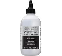 Winsor & Newton Peinture acrylique Médium brillant 250 ml
