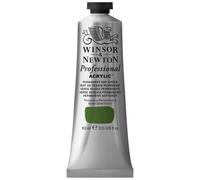 Winsor & Newton Peinture acrylique Professional 503 Vert de Vessie Permanent Tube 60 ml