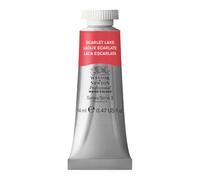 Winsor & Newton Professional Aquarelle 14 ML 609 Sepia Série 1