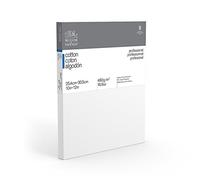 Winsor & Newton Professional Coton traditionnel sur toile 10 x 12 Inches