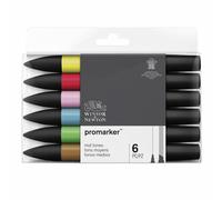 Winsor & Newton ProMarker Double Pointe Graphique Marqueur Stylos Mi Tons
