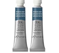 Winsor & Newton W&N PRO WATERCOLOUR 5ML 465 GRIS DE PAYNE (Lot de 2)