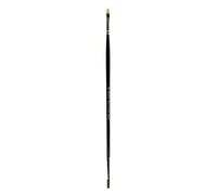 Winsor & Newton Winton Brosse Plate Courte Manche Long N°1
