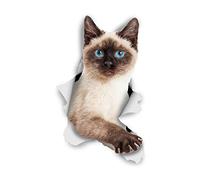 Winston & Bear Autocollants Chat Muraux 3D - Paquet de 2 - Autocollants Décoratifs Drole - Stickers Siamois Chat Chaton Pour Mur - Frigo - Toilette - Salle - Voiture - Réfrigérateur