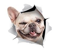 Winston & Bear Autocollants Chiens Muraux 3D - Paquet de 2 - Autocollants Décoratifs Drole - Stickers Chien Un Clin de œil Bouledogue Français Pour Mur