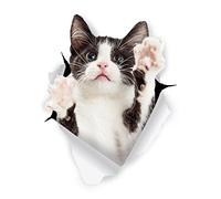 Winston & Bear Autocollants de chat 3D - 2 Pack - Noir et Tuxedo Cat Sticker pour mur, réfrigérateur, toilettes et plus