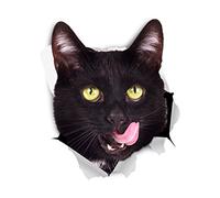 Winston & Bear Autocollants de chat 3D - 2 Pack - Sticker Hungry Cat pour mur, réfrigérateur, toilettes et plus