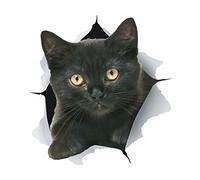 Winston & Bear Autocollants de chat 3D - 2 Pack - Stickers Kitten pour mur, réfrigérateur, toilettes et plus