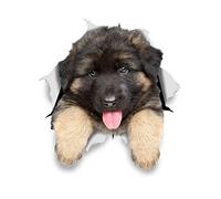 Winston & Bear Autocollants pour chien 3D - 2 Pack - chiot berger allemand pour mur, réfrigérateur, toilettes et Plus Autocollants de berger allemand
