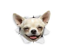 Winston & Bear Autocollants pour chien 3D - 2 Pack - Joyeux Chihuahua Pour mur, réfrigérateur, toilettes et plus heureux Chihuahua Dog Autocollants