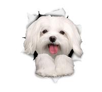 Winston & Bear Autocollants pour chien 3D - 2 Pack - mignon maltais mur, réfrigérateur, toilettes et plus d'autocollants maltais