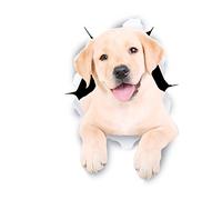 Winston & Bear Autocollants pour chien 3D - 2 Pack - Stickers Cute labrador mur, réfrigérateur, toilettes et plus d'autocollants blancs Labrador