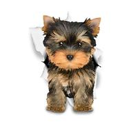 Winston & Bear Autocollants pour chien 3D - 2 Pack - Yorkie adorable pour mur, réfrigérateur, toilettes et Plus Husky Autocollants