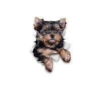 Winston & Bear Autocollants pour Chien 3D - Paquet de 2 - Cute Yorkshire Terrier pour Mur, réfrigérateur, Toilettes et Plus Yorkshire Terrier Autocollants Chien