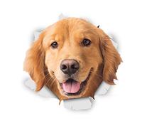 Winston & Bear Autocollants pour chien 3D - Paquet de 2 - Happy Golden Retriever pour mur, réfrigérateur, toilettes et Golden Retriever Plus Autocollants de chien