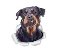 Winston & Bear Lot de 2 autocollants muraux amusants en forme de chien Rottweiler - Autocollants 3D pour murs, voitures, toilettes et plus encore - Cadeaux Rottweiler emballés au détail