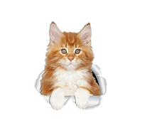 Winston & Bear Lot de 2 autocollants muraux en forme de chat Maine Coon - Motif chat Maine Coon orange - Autocollant 3D pour fenêtre et pare-chocs de voiture - Emballage au détail