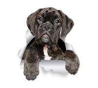 Winston & Bear Lot de 2 autocollants muraux en forme de chien boxer pour murs, voitures, toilettes et plus encore - Cadeaux emballés au détail