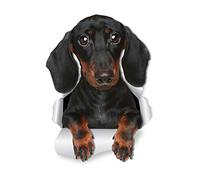 Winston & Bear Lot de 2 autocollants muraux Motif teckel