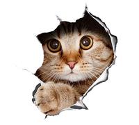 Winston & Bear Paquet de 2 - Global Stickers Autocollants de Chat 3D - Chat Peeking Sticker pour Mur, réfrigérateur, Toilettes et Plus