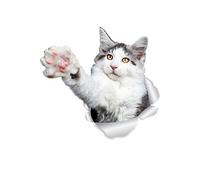 Winston & Bear Reaching Maine Coon Lot de 2 autocollants muraux en forme de chat Gris et blanc