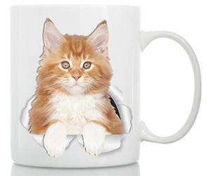 Winston & Bear Tasse Maine Coon Rouge - Tasse a Café Chat Maine Coon Ginger en Céramique 330 ml - Cadeaux Chat Maine Coon Parfaits