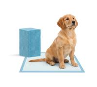 Wintem - Lot de 25 traverses Chiens 60 x 90 Super absorbants avec Anti-odeurs et Formule 3 gSAP, Tapis hygiéniques avec 4 Coins adhésifs pour entraînement et Usage Quotidien, testé dermatologiquement