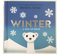 Winter: A Pop-up Book