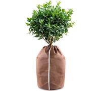 Winter Covers For Potted Plants,40 X 40 Cm Winter Covers,Winter Cover For Plants,Winter Cover,Brown.[P290]