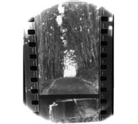 Winter Forever by Seahaven [VINYL] NEUF