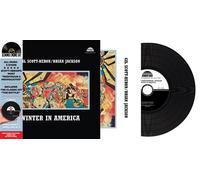 Winter In America Vinyle Replica