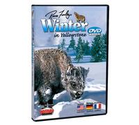 Winter In Yellowstone