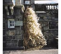 Winter Inside the Dream.Dreamd [Import allemand]