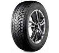Landsail Pneu Winter Lander 205/55 HR17 TL 95H