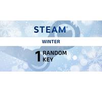 Winter Random 1 Key (PC)