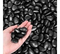 Winter Shore 1,35 kg Galets Noirs Décoratifs - 2,5-3 cm Billes Chinoises Plates - Gravier Aquarium, Aménagement Paysager, Terrarium, Succulentes, Vase - Cailloux de Rivière Tamisés & Polis