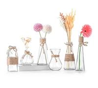 Winter Shore Mini Vase en Verre pour Centres de Table [Lot de 6] - Vase Verre Transparent Vintage avec Base Anti-Dérapante & Ficelle Marron - Décoration d'Intérieur Bohème & Mariage