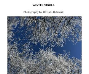 WINTER STROLL