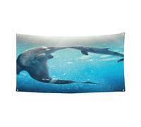 Winter the Dolphin - Bannière imprimée pour festival - Décoration d'extérieur résistante aux UV - Pour les salons commerciaux et les événements de jardin - Drapeau réutilisable