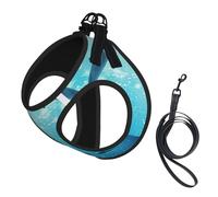 Winter The Dolphin Print Harnais pour chien avec 2 boucles, gilet pour chien, clip de laisse avant anti-traction pour chiens de petite et moyenne taille