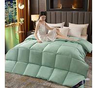Winter Thick Solid Color Duvet Single and Double Dormitory Quilt Bedding for Students 95 White Goose Down Quilt Core 220X240cm 4 (6)