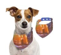 Winter Under The Sunshine Bandana pour chiens de petite, moyenne et grande taille, écharpe triangulaire pour chat ou garçon