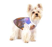 Winter Under The Sunshine Chemise pour chien en coton doux et respirant pour chiens, chats, garçons et filles, convient pour les petits animaux de compagnie